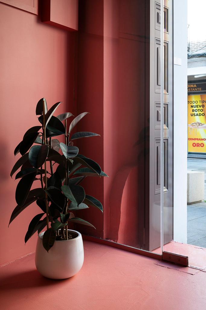 Decoración y diseño de interiores de locales comerciales y negocios - Local Comercial 6