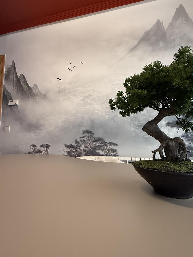 Decoración de interiores de casas y particulares - Casa Leon 6